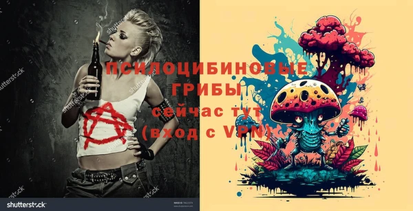 дурь Абаза